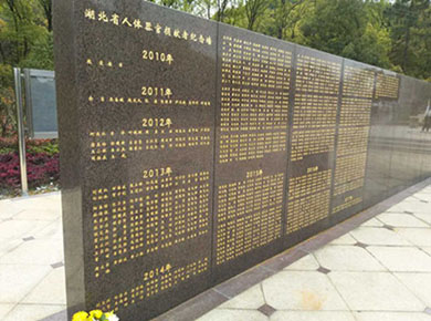 181348213.jpg