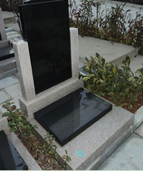 181351390.jpg